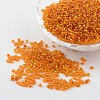 12/0 Glass Seed Beads X-SEED-A005-2mm-29-1