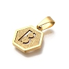 304 Stainless Steel Charms STAS-H227-01G-B-2