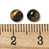 Natural Tiger Eye Cabochons G-Q173-01B-13-3