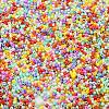 Baking Paint Glass Seed Beads SEED-S042-05B-50-3