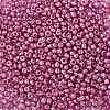 8/0 Glass Seed Beads SEED-A017-3mm-1111-2