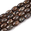 Natural Tibetan Agate 3-Eye Beads Strands G-T138-195A-4