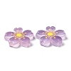 Luminous Resin Cabochons RESI-G030-01A-4