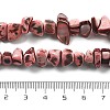 Dyed Natural Trochus Shell Beads Strands BSHE-Z006-01D-4