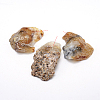 Natural Gemstone Pendants G-J305-06-1