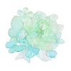 Transparent Acrylic Beads OACR-H039-04G-1