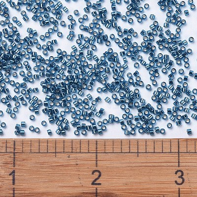MIYUKI Delica Beads SEED-X0054-DB0608-1