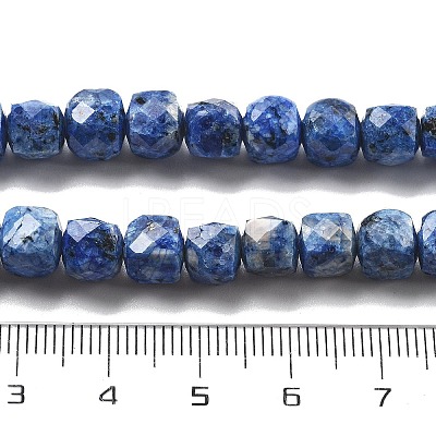 Dyed Natural Sesame Jasper Beads Strands G-C179-B02-01-1