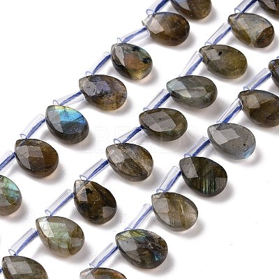 Natural Labradorite Beads Strands G-I246-09-A-1