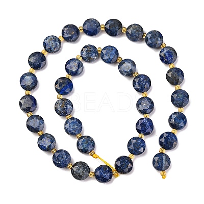 Natural Lapis Lazuli Beads Strands G-C116-A110-01-1