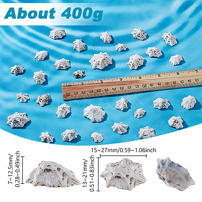 400G Natural Shell Beads SHEL-GA0002-31-1