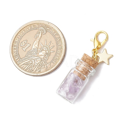 Natural Amethyst Chips inside Glass Wishing Bottle Pendant Decoration HJEW-JM03307-04-1