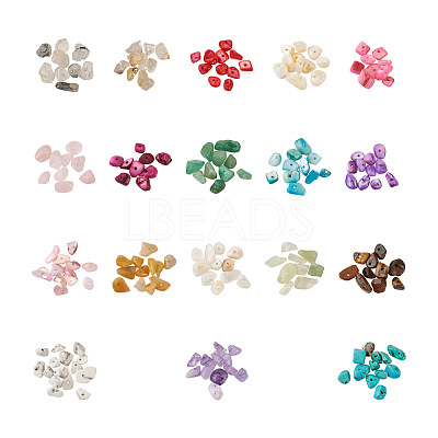 360g 18 Colors Freshwater Shell & Gemstone Chip Bead Sets G-CW0001-01-1