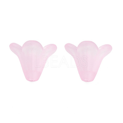 Frosted Acrylic Beads PL692-6-1