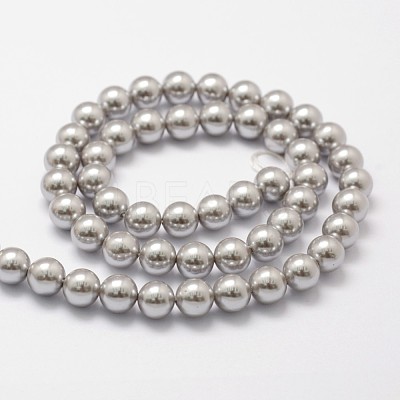 Shell Pearl Beads Strands X-BSHE-L026-05-8mm-1