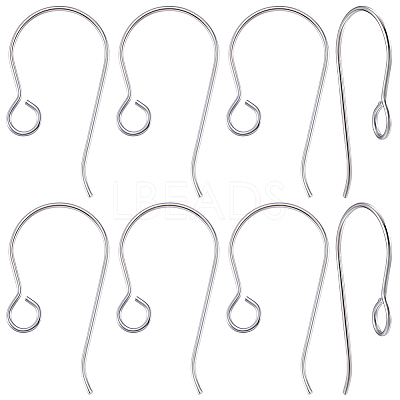 20Pcs Titanium Earring Hooks FIND-BBC0005-23-1