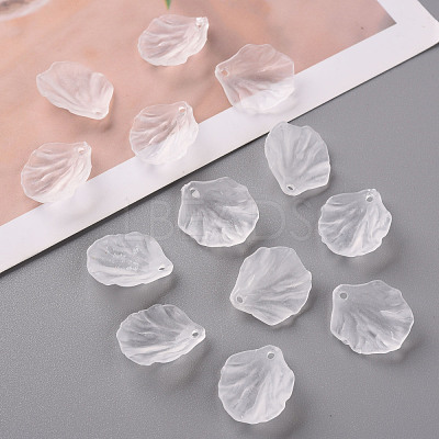 Transparent Frosted Acrylic Pendants MACR-S371-01A-701-1
