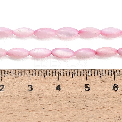Natural Freshwater Shell Beads Strands SHEL-C010-01E-1