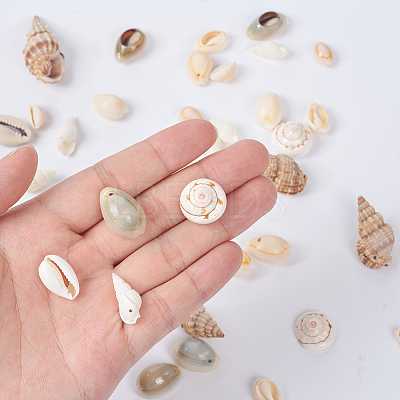 Trumpet Shell Beads BSHE-YW0001-03-1
