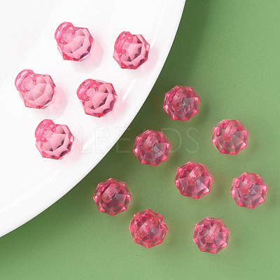 Transparent Acrylic Pendants MACR-S373-125-B05-1