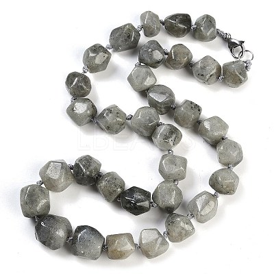 Natural Labradorite Nuggets Beaded Necklaces for Women Men NJEW-K388-01E-01Z-1