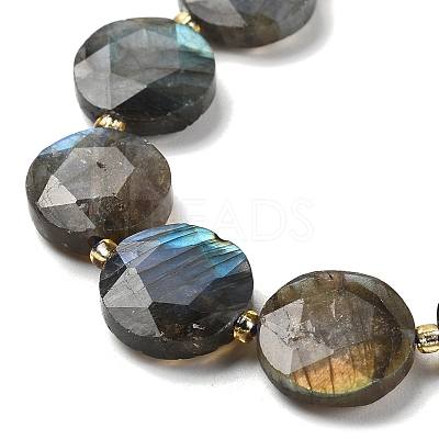 Natural Labradorite Beads Strands G-C116-A164-03-1