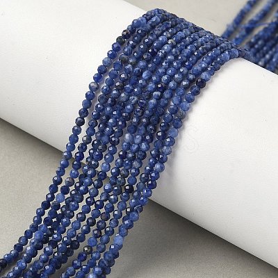 Natural Sodalite Beads Strands G-D306-A01-2mm-B-1