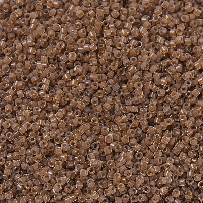 MIYUKI Delica Beads X-SEED-J020-DB1391-1
