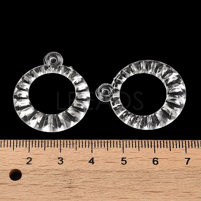 Transparent Acrylic Pendants TACR-G048-19-1