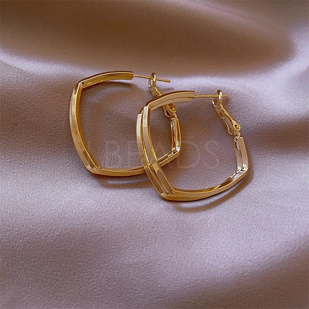 Alloy Hoop Earrings for Women FS-WG67811-89-1