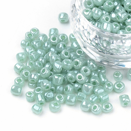 Glass Seed Beads SEED-A011-3mm-154-1-1