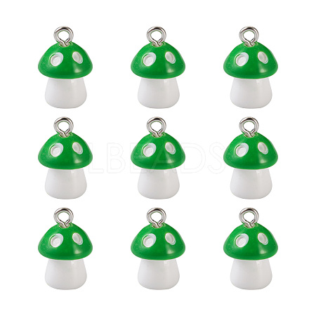 Plastic Pendants KY-TA0001-15C-1