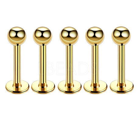 304 Stainless Steel Round Internally Threaded Labrets for Women Men WG9B6EB-24-1