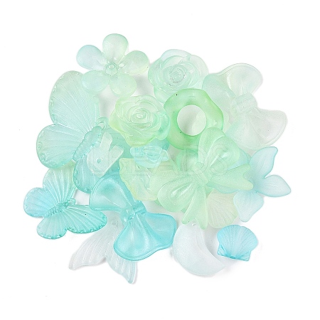 Transparent Acrylic Beads OACR-H039-04G-1
