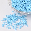 12/0 Opaque Colours Round Glass Seed Beads X-SEED-A010-2mm-43-1