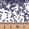 12/0 Glass Seed Beads SEED-S005-2-4