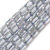 Electroplate Glass Beads Strands EGLA-D031-01-28-1