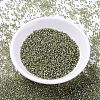 MIYUKI Delica Beads X-SEED-J020-DB2163-2