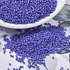 MIYUKI Delica Beads SEED-X0054-DB1597-1