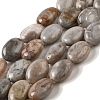 Natural Crazy Lace Agate Beads Strands G-G102-B01-01-1