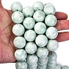Natural Glass Beads Strands G-I247-31H-3