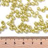 6/0 Glass Seed Beads X1-SEED-A017-4mm-1113-3