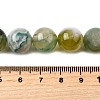Natural Green Cherry Blossom Agate Beads Strands G-NH0061-A01-12mm-5