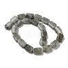 Natural Labradorite Beads Strands G-M420-M02-02-3