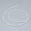 Natural White Agate Beads Strands G-D0005-27-4mm-2