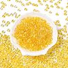 Spray Painted Transparent Glass Seed Beads SEED-T007-05A-1