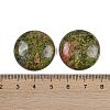 Natural Unakite Cabochons G-H1596-FR-25mm-09-3