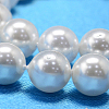 Round Shell Pearl Bead Strands X-BSHE-L011-10mm-A013-3