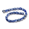 Blue Tibetan Style dZi Beads Strands TDZI-NH0001-C04-01-3
