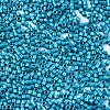 11/0 Grade A Baking Paint Glass Seed Beads X-SEED-S030-1041-2
